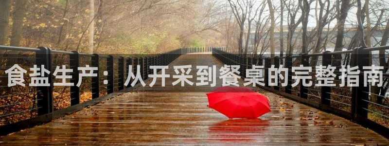 威九国际网站客服电话多少啊