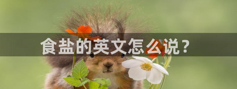 威九国际网站安全吗