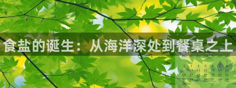 威九国际网站入口官网首页