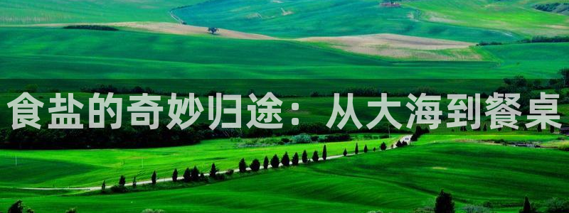 威九国际78m-MBA智库百科