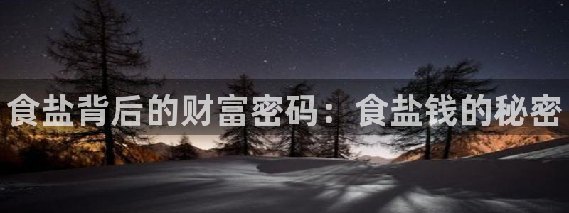 威九国际app无法登陆怎么回事