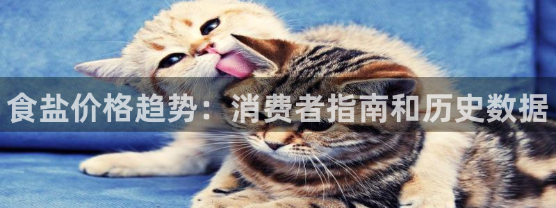 威九国际官方入口官网