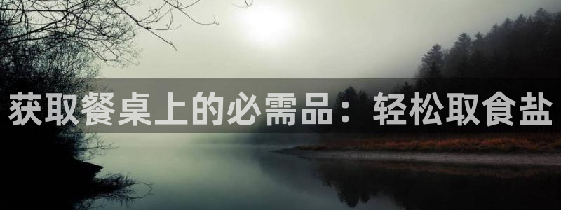 威九国际免费ppt网址