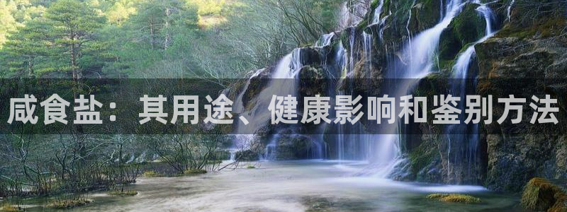 威九国际新