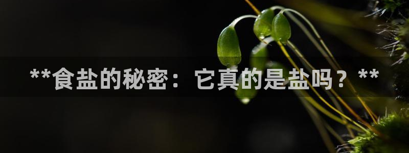 威九国际66m官网版