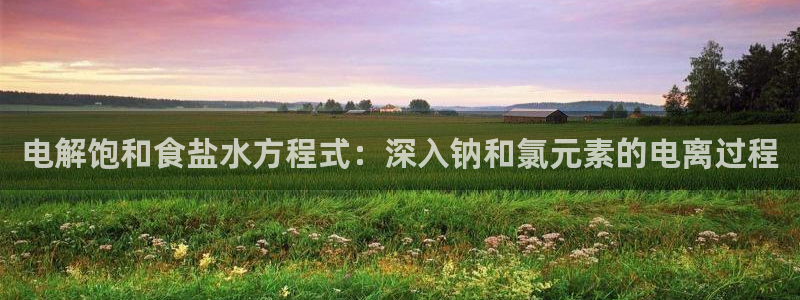 78mapp威九国际网