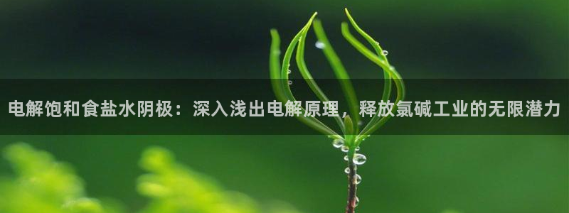 威九国际网站进入AB,AB