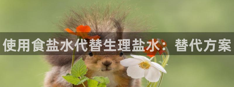 威九国际网站在哪里
