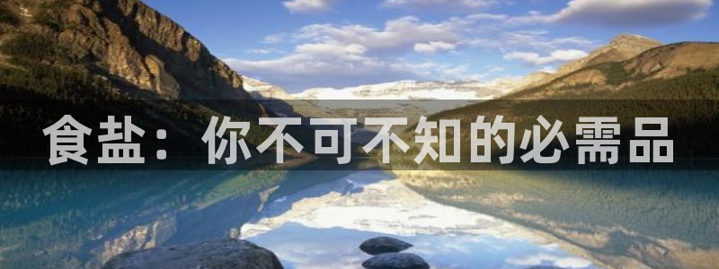 威九国际韩国