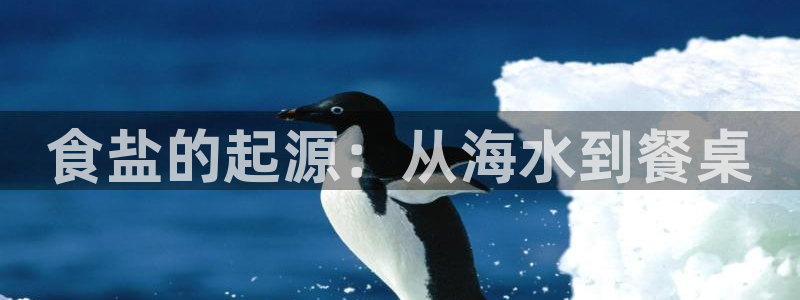 威九国际最近的视频