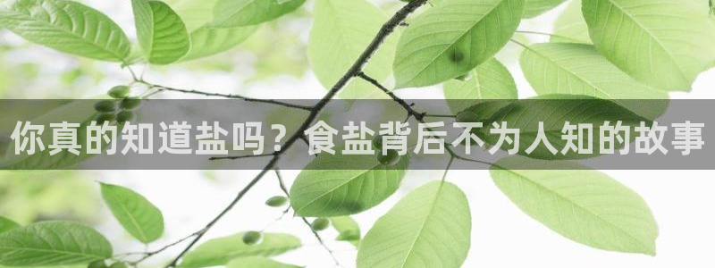 威九国际坑人的嘛