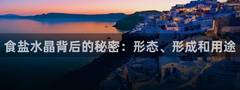 威九国际精