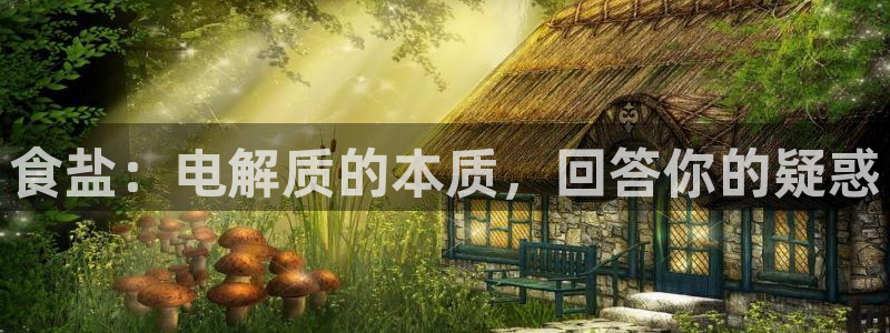 威九国际官网版下载
