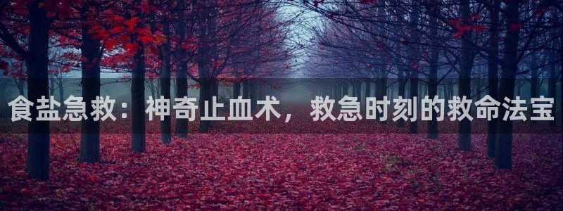 威九国际旗下艺人都有谁