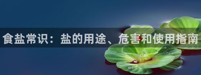 78mapp威九国际官网