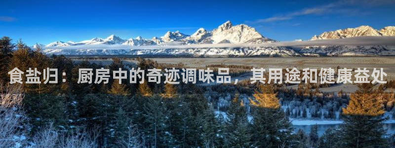 78mapp威九国际媒体