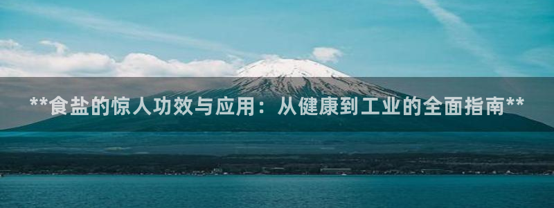 威九国际官网版