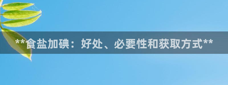 威九国际ppt官网
