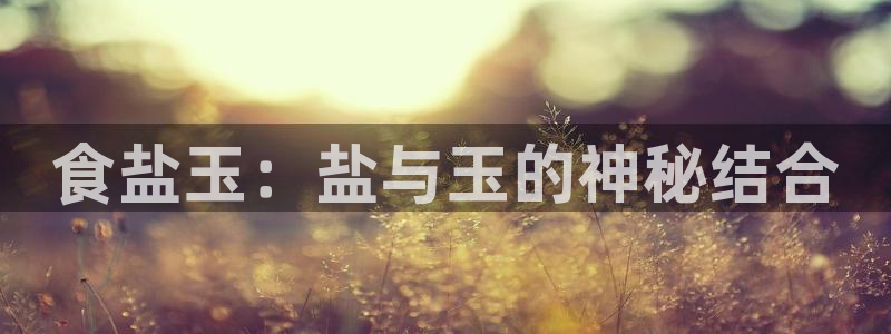 威九国际清砖码头在哪