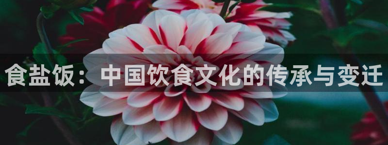 威九国际取款