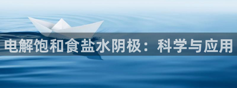 威九国际com