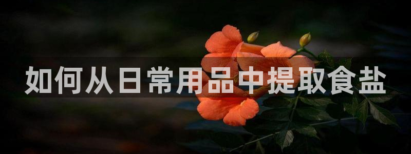 威九国际78m78