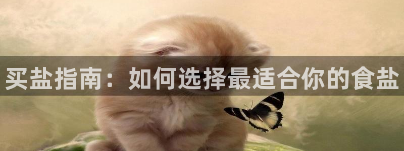 威九国际ft