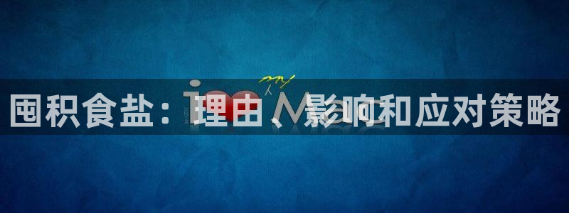 威九国际软件公司简介