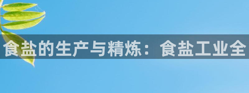 威九国际com