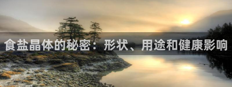 威九国际体育