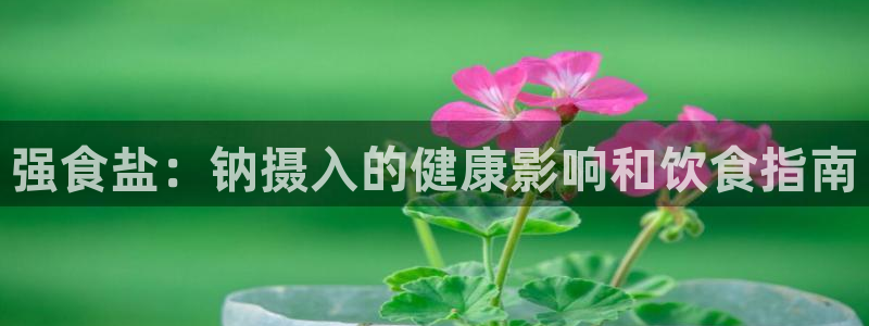 威九国际mb