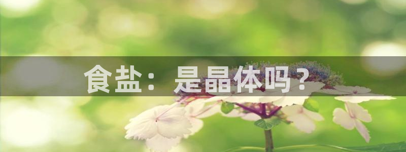 威九国际网站客服电话多少啊