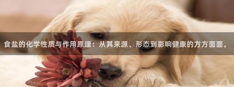 威九国际下载官网app