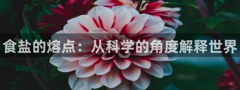 威九国际APP
