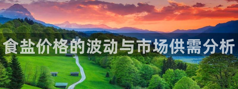 威九国际ppt免费