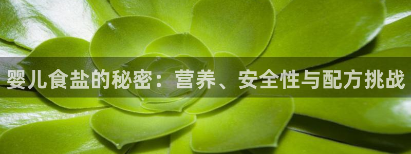 威九国际电子有限公司