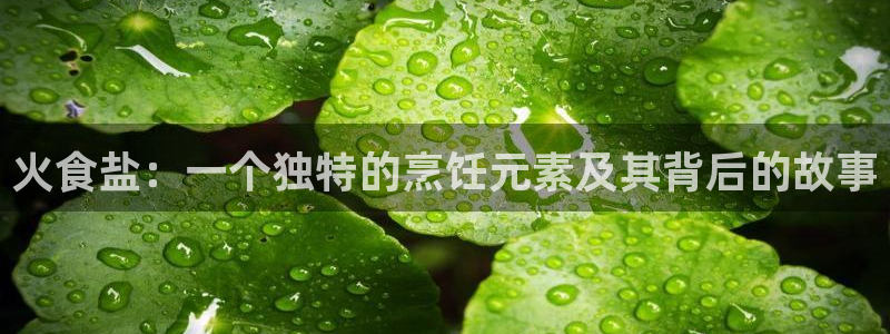 威九国际电视怎么样