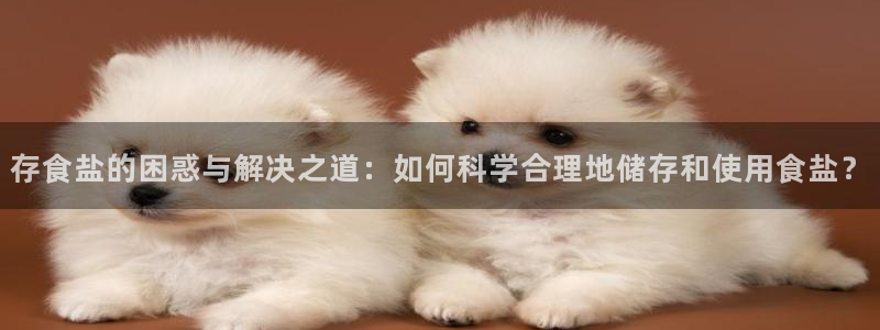 威九国际ppt免费下载