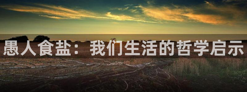 威九国际