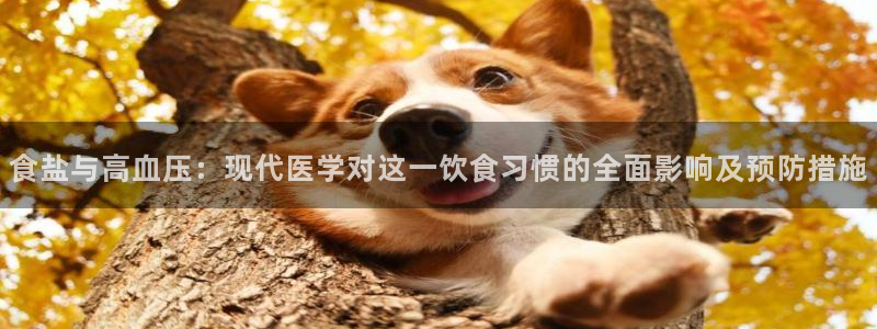 威九国际app下载