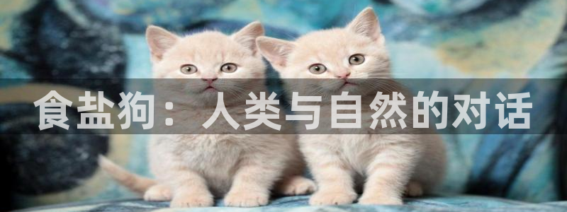 威九国际网站人入口