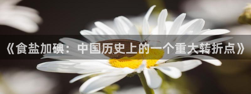 威九国际女主名字