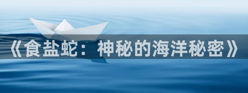 威九国际客服电话号码是多少