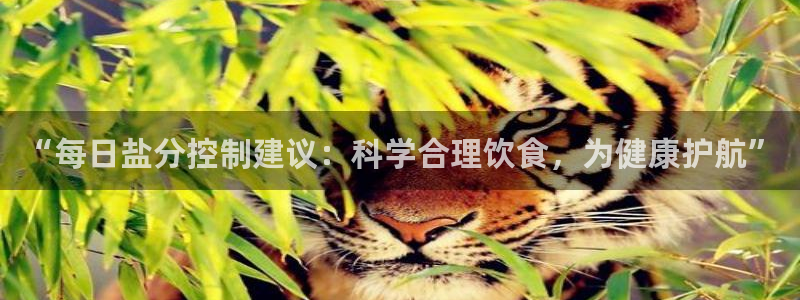 威九国际下载官网app