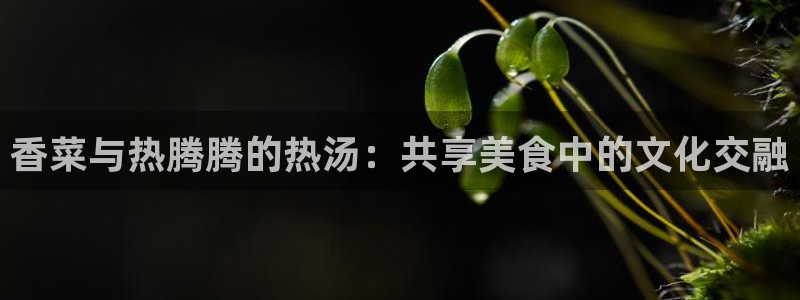 威九国际网站经常打不开怎么办