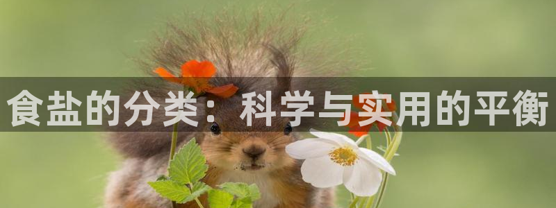 威九国际天美：食盐的分类：科学与实用的平衡