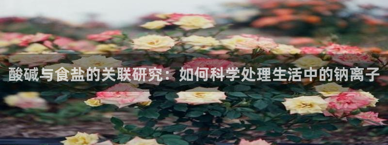 威九国际66m免费版