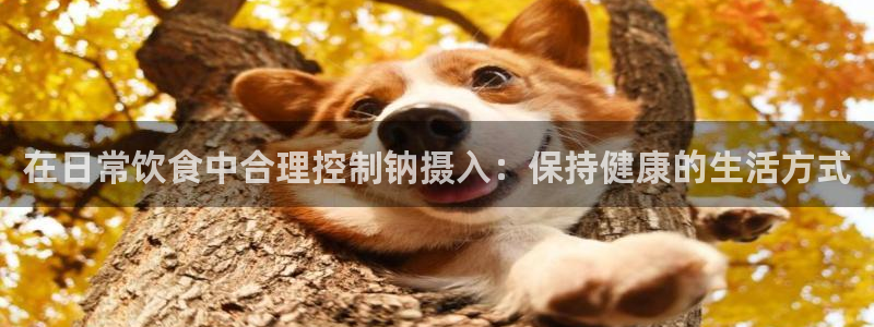 威九国际网站进入客服中心怎么进