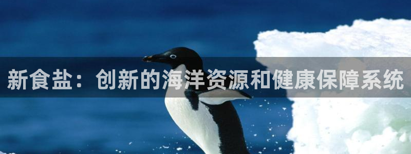 威九国际H