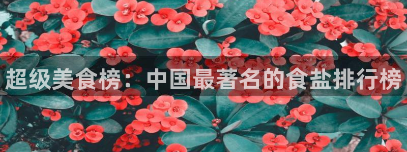 威九国际官网在线进入网站查询网址